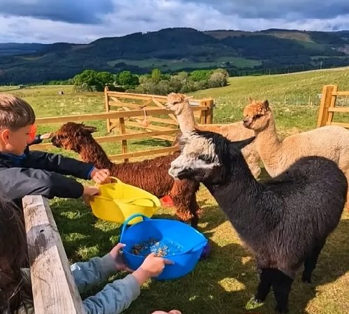 Tomnauld Farm Pitlochry