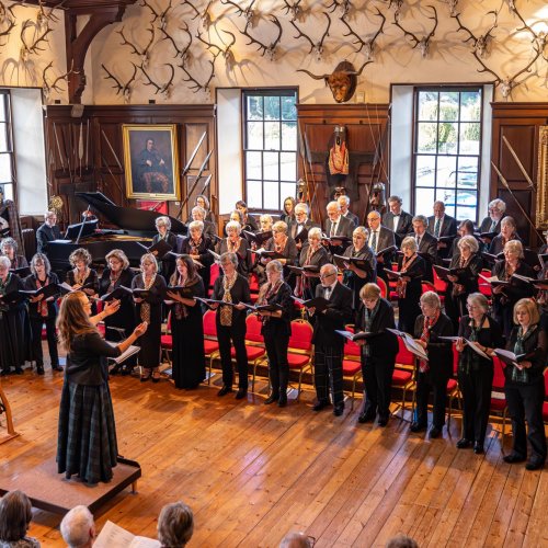 Come & Sing - The Lion King event