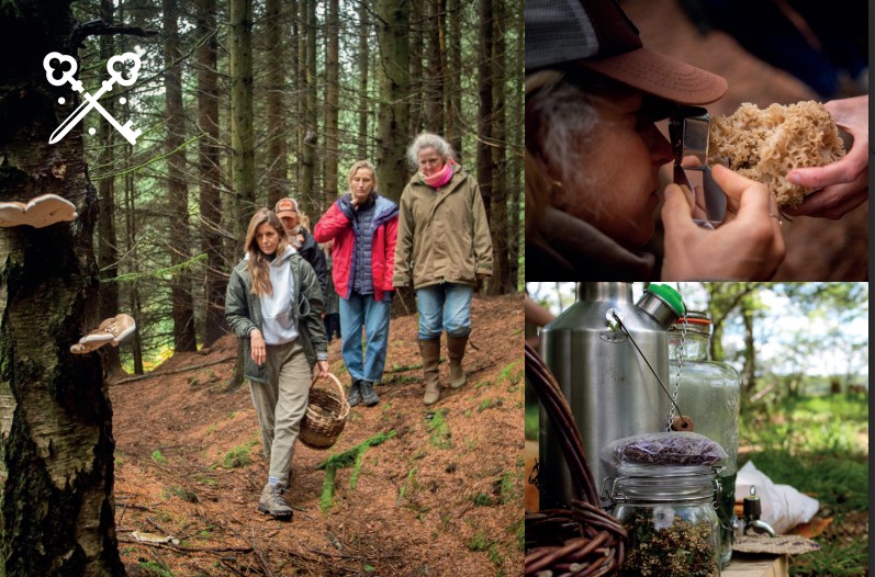 Autumn Foraging Walk at Fonab Caravan Park