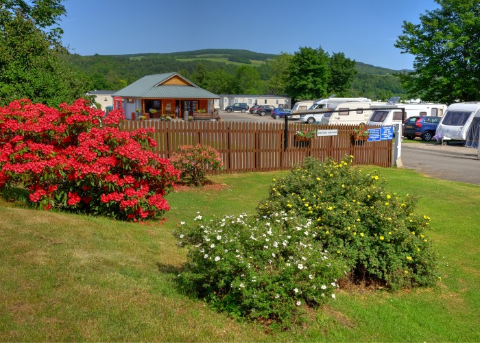 Flowered Bushes outside the wooden fence of Fonab holiday park looking onto the shop and reception building.