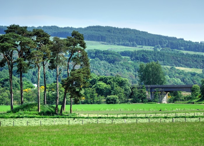 Small hill with trees on it in field facing bridge.