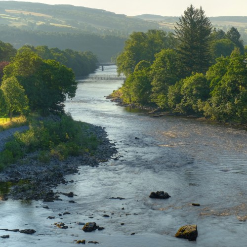 American BBQ Nights event