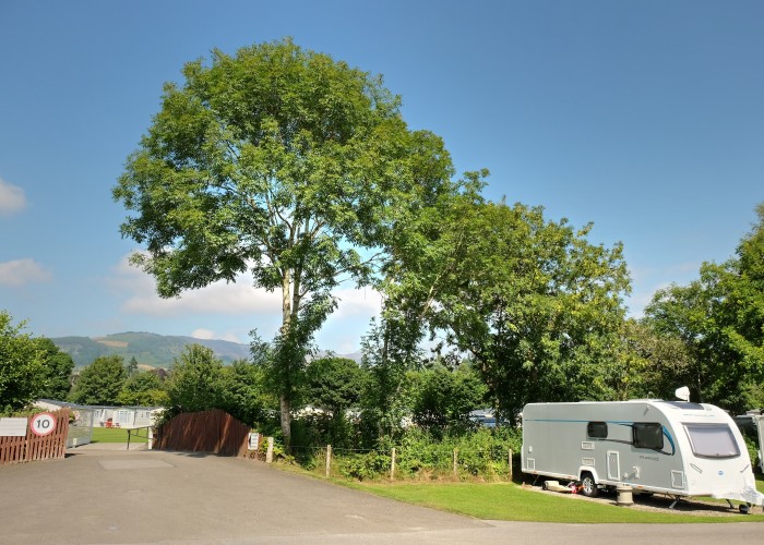 Tree at entrance of Fonab Caravan Park with touring caravan in background