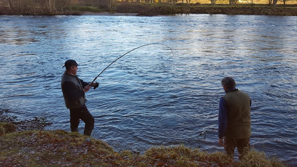 West Haugh and Dunfallandy beats of the River Tummel include of some of the finest salmon fly fishing water on this river and some of the very best spring salmon fishing in Scotland.