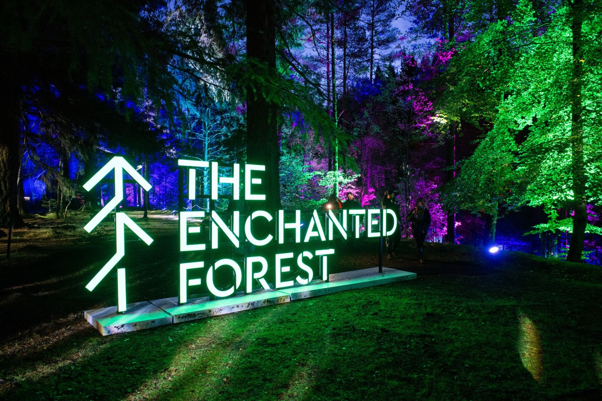 The Enchanted Forest at Fonab Caravan Park