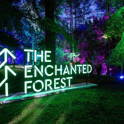 The Enchanted Forest event
