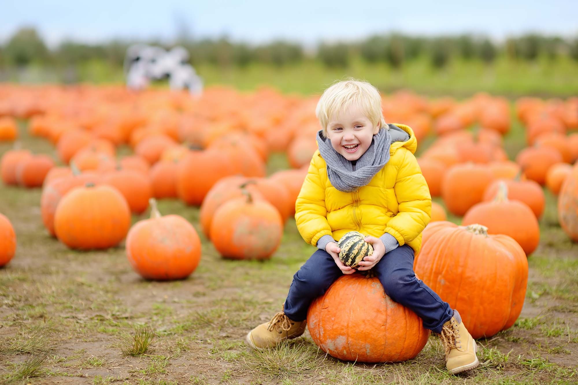 Halloween Indoor Play and Pumpkin Patch Visit at Fonab Caravan Park