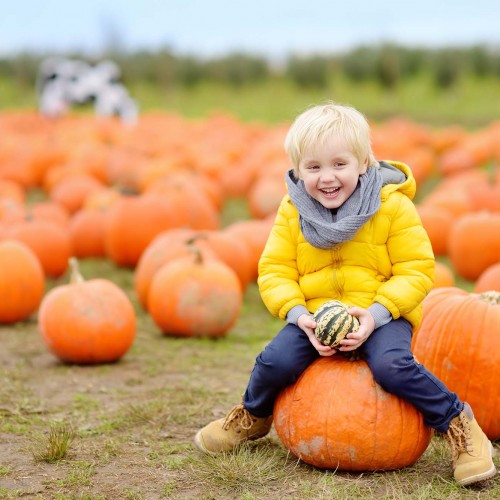 Halloween Indoor Play and Pumpkin Patch Visit event