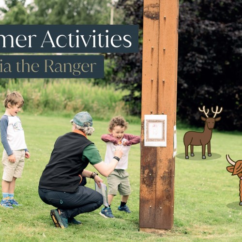 Kids Summer Activities event